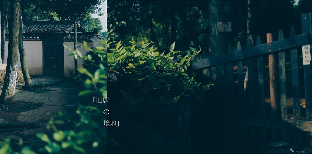 西瓜地逃生